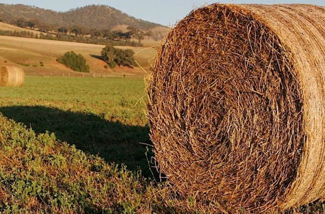 Page farmers gather supplies for Asheville