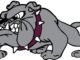 LHS mascot-Bulldog