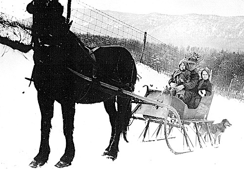 Horse drawn sleigh
