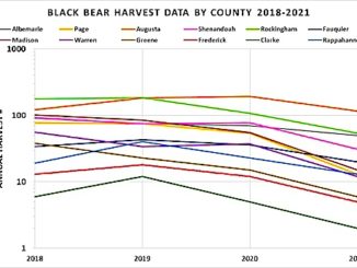 Black Bear harvest data 2018_21