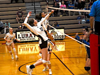 LHS VB_Lindsay Bly