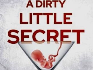 Book cover - "A Dirty Little Secret" by Sherry Ford