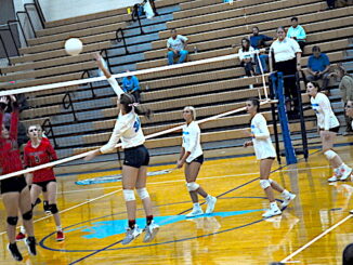 Page County High School volleyball