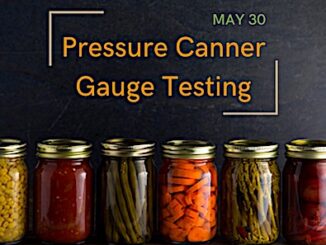 canning pressure gauge tests