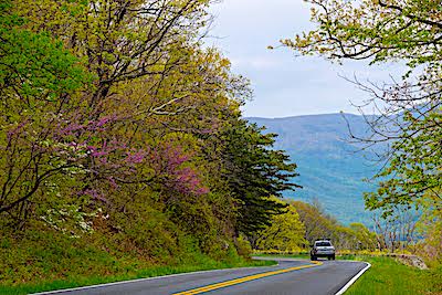 Skyline Drive