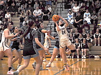 Luray High School girls basketball