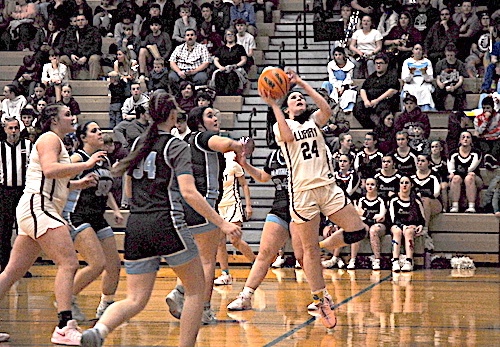 Luray High School girls basketball