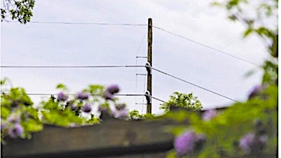 PowerLines