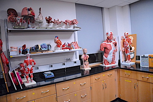 ED_LRCC_20thAnniv_Nursing2