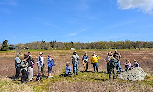 OUT_SNP_WildFlowerWeekend_26promo