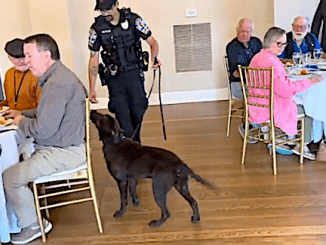 COL_PVL_EP116_LPD_K9_05_13_26