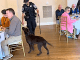 COL_PVL_EP116_LPD_K9_05_13_26
