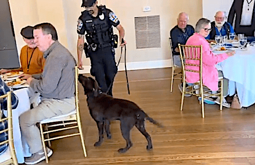 COL_PVL_EP116_LPD_K9_05_13_26