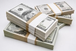 AI replacement for Money