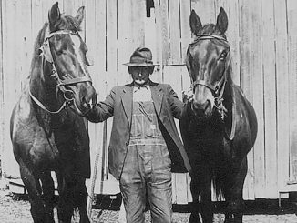 HIST_TwoHorses