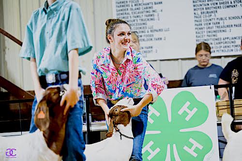 REC_4H_GoatSHow