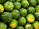 watermelons