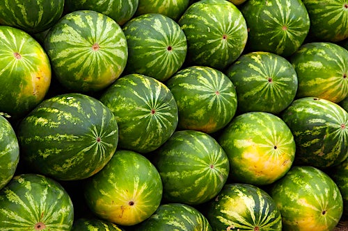 watermelons